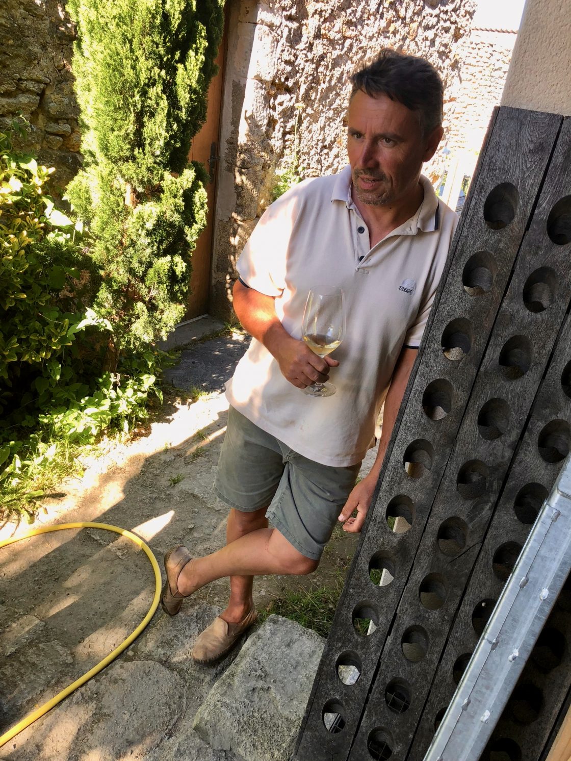 Vine Trail | Stéphane Bernaudeau - Les Onglés 2021 - Vin de Vine Trail | Stéphane Bernaudeau - Les Onglés 2021 - Vin de